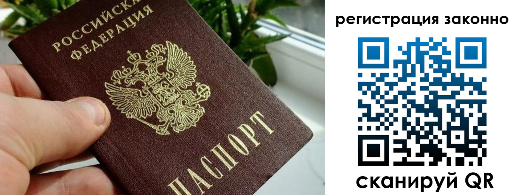 прописка гарантия в Елабуге